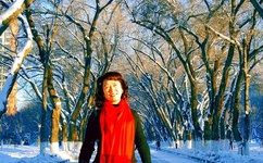 狂飙2022电视剧在线观看